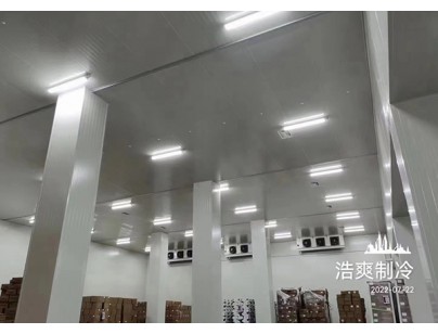 長沙洽洽5000立方食品堅果原料加工冷庫工程建造方案