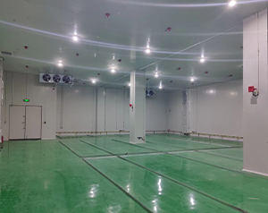 金華防爆冷庫(kù)建造大概多少錢?