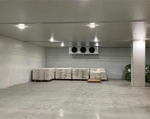 5000噸果蔬氣調庫項目造價大概在多少錢?