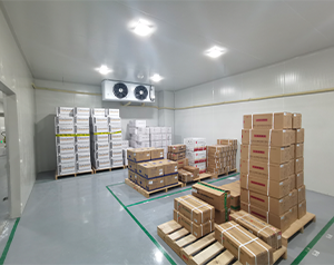 重慶大型醫(yī)藥冷庫安裝費(fèi)用是多少?