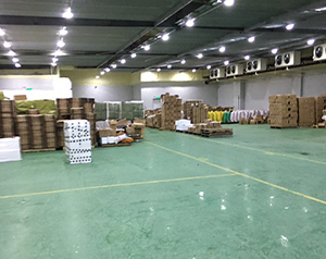 冷庫(kù)和廠房可以合建嗎?